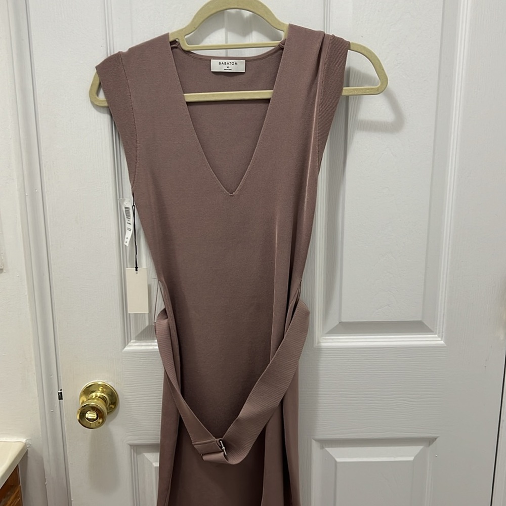 Aritzia Babaton bodycon dress